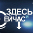 В прямом эфире на вопросы жителей Брянщины ответит Наталья Новикова - Газета Красногорская Жизнь