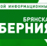 Волонтёрский штаб Брянского городского Совета помог 1640 семьям - Газета Красногорская Жизнь