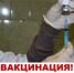 Важно предпринять меры защиты - Газета Красногорская Жизнь