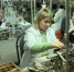  Программа профессионального обучения стартовала на Брянщине - Газета Красногорская Жизнь