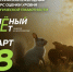 Брянцев приглашают принять участие в экологическом тестировании «Зелёный Зачёт» - Газета Красногорская Жизнь