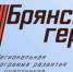 Об участниках кадровой программы «Брянские Герои» рассказали эксперты РАНХиГС - Газета Красногорская Жизнь